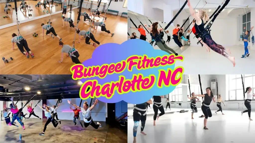 bungee fitness charlotte nc
