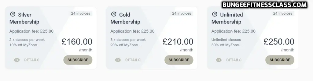 Bungee Fitness Surrey prices